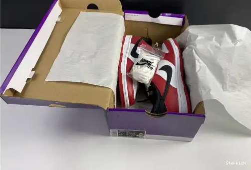 BQ6817-600 Chicago Nike SB Low J-Pack Dunk 0605